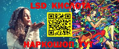 ешки Гай