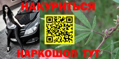 ешки Гай