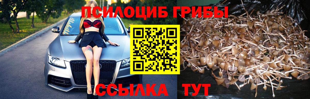 Жуковский  Псилоцибиновые грибы MAGIC MUSHROOMS  Вход с VPN 